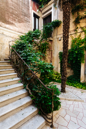 Stairs in the house in a European city, overgrown with shrubs and leaves.の写真素材