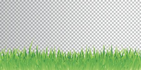 Green fresh grass transparent vector background illustration bannerのイラスト素材