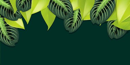 Spring sweet green leaves illustration large bannerのイラスト素材