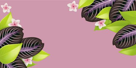 Spring sweet green leaves illustration large bannerのイラスト素材
