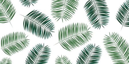 Green palm leaves illustration background large bannerのイラスト素材