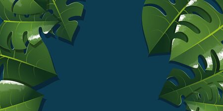 Monstera deliciosa green leaves illustration large banner