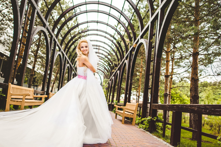 Elegant bride dancing an posing outdoors on a wedding dayの写真素材