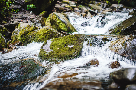 Waterfall close up. Water cascade on moss stones