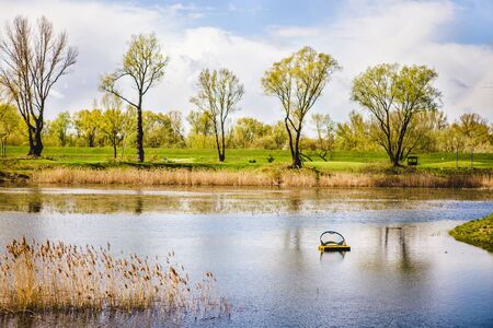 a wide lake in a spring parkの写真素材