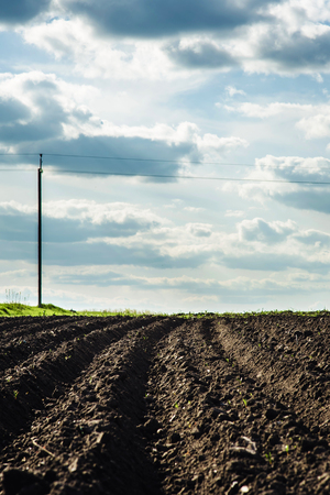 Black soil plowed field and blue cloudsの写真素材