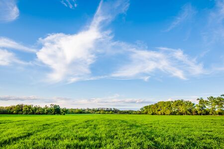 Green fields and blue sky at Ukraineの写真素材