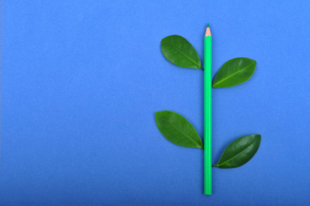 Green pencil wit leafage on blue backgroundの写真素材