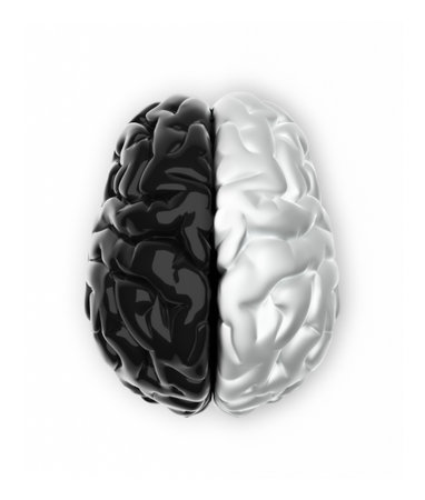 Brain in black and white like Ying and Yang - 3d renderの写真素材