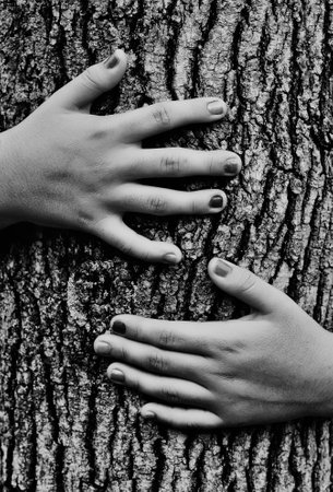 Girl hugging a treeの写真素材