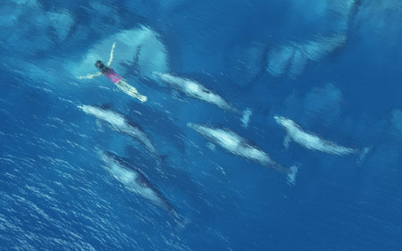 Women swimming with dolphins in the tropical sea. This is a 3d render illustrationの写真素材
