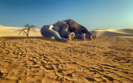 Dying elephant on drought cracked desert landscape. Global warming concept. This is a 3d render illustration.の写真素材