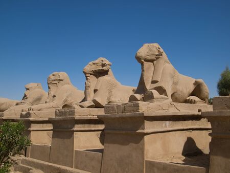 Karnak Temple Complex in Luxorの写真素材