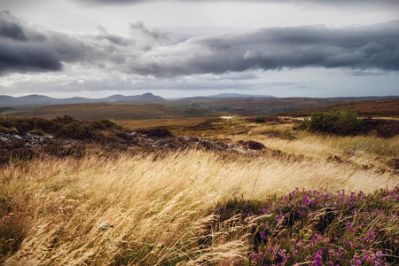 Tipical highlands landscape, with the tipical scottish weatherの写真素材