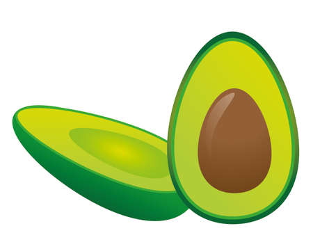 illustration green avocado on a white backgroundのイラスト素材
