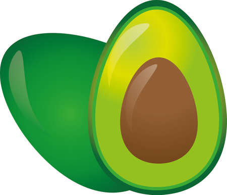 illustration green avocado on a white backgroundのイラスト素材