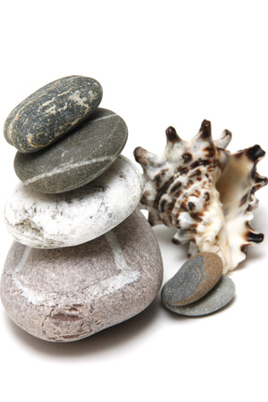 with shell stones beautifully laid out on a white backgroundの写真素材