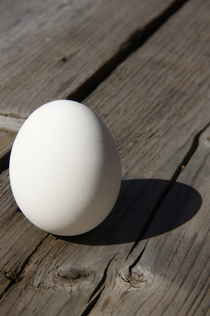 one beautiful white egg lying on a wooden table in sunlightの写真素材