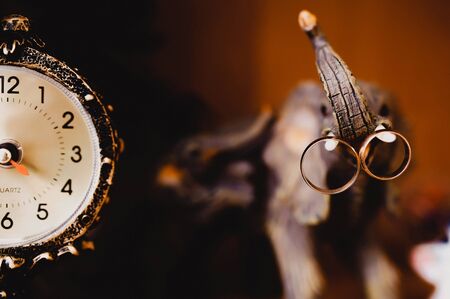 Wedding rings in the tusks of an elephant.の写真素材