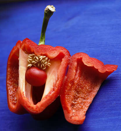 red sweet pepper on a blue backgroundの写真素材