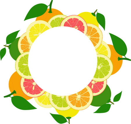 round frame from slices and whole lemons, oranges, lime, grapefruit on a transparent backgroundのイラスト素材