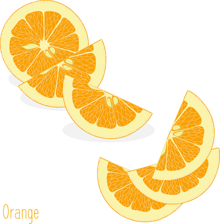 Orange slices, collection of vector illustrations on a transparent backgroundのイラスト素材