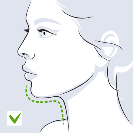 Woman profile double chin after. Woman face. Vector illustrationのイラスト素材