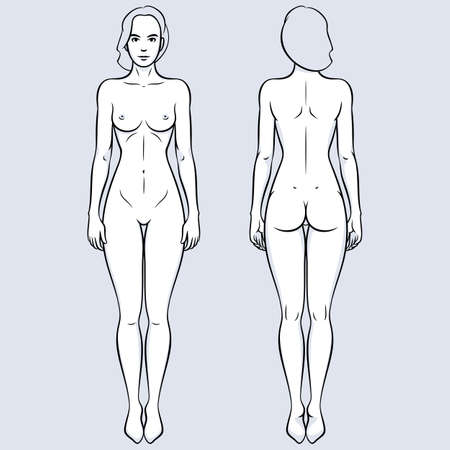 Vector outline illustration of nude female body. Front and rear side viewsのイラスト素材