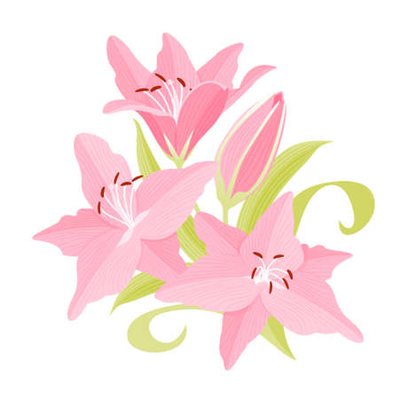 Flower background with pink beautiful lilies. Lilly vector illustrationのイラスト素材