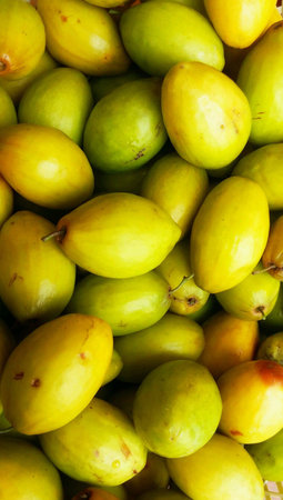 Monkey fruitの素材