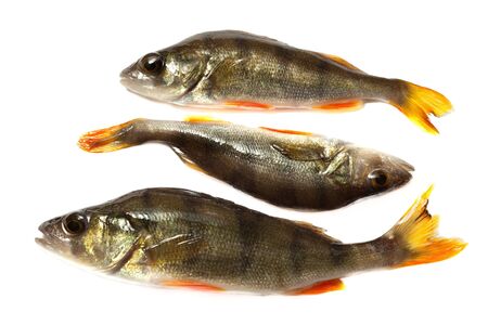 River fish caught by the fisherman.