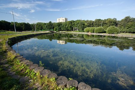 Small city pond in park early in the morningの写真素材