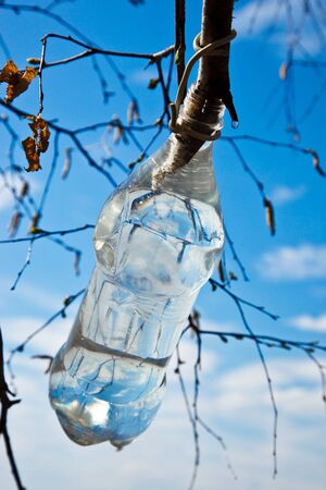 Beautiful spring landscape in a countryside. Russia, the Ryazan region.の写真素材