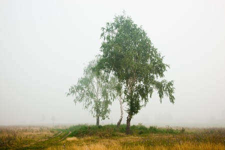 Russia, The Ryazan region. Landscape with smoke from burning woods.の写真素材