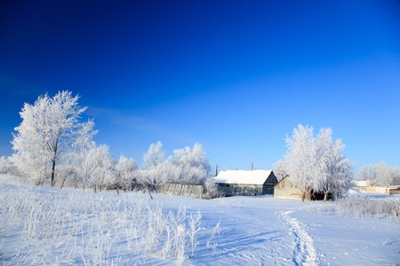 Beautiful winter landscape with white snow and the blue sky.の写真素材