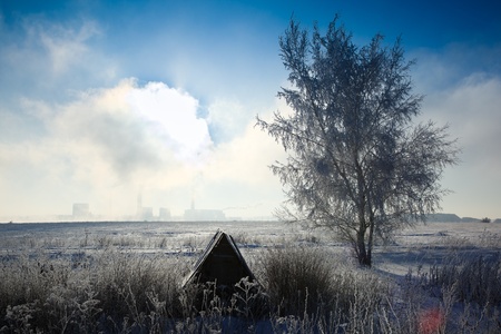 Beautiful winter landscape with white snow and the blue sky.の写真素材