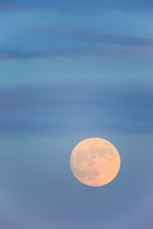 Big round (full) moon in the evening sky clean.の写真素材