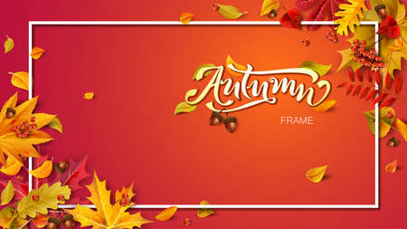 Autumn frame composition with fallen leavesのイラスト素材