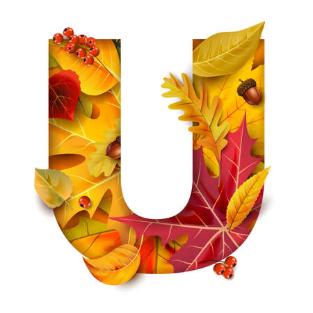 Autumn stylized alphabet. Letter A.のイラスト素材