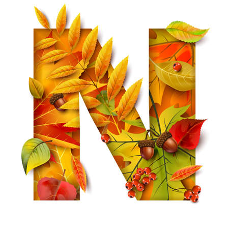 Autumn stylized alphabet. Letter N.のイラスト素材