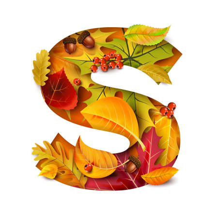 Autumn stylized alphabet. Letter S.のイラスト素材