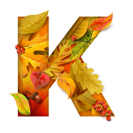 Autumn stylized alphabet with foliage. Letter K.のイラスト素材