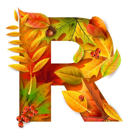 Autumn stylized alphabet with foliage. Letter R.のイラスト素材