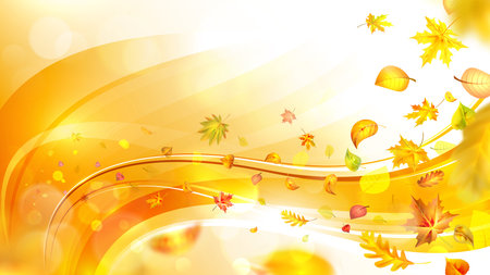Sunny fall composition with falling leaves and beautiful bokeh at sunset.のイラスト素材