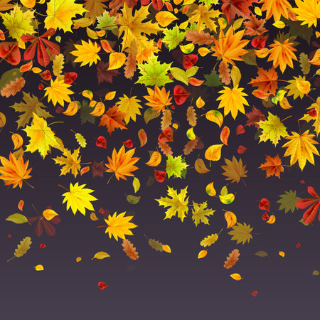 Falling leaves on dark background. Perfect for brochures, presentations and any design.のイラスト素材