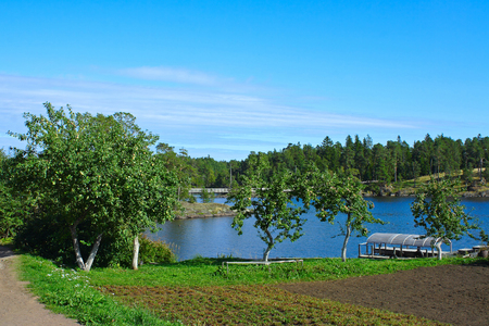 Island Valaam, Spaso-Preobrazhensky monastery, the monastery vegetable garden near Nikolsky sketeの写真素材