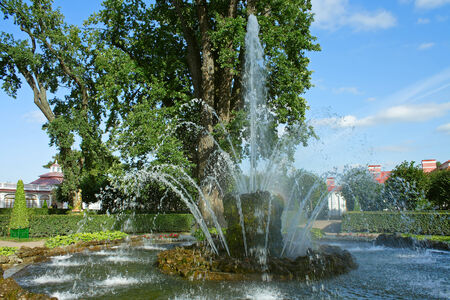 Fountain "Sheaf" in the Peterhof Lower Park - the residence of the Emperor Peter the Greatの写真素材