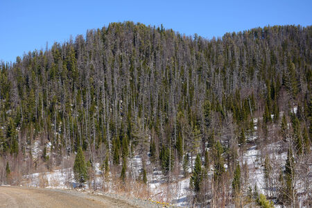 The Republic of Khakassia in southern Siberia, covered with taiga slopes of the mountain range of...