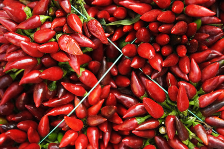 Bunches of red hot pepper on the market tied with a piece of string