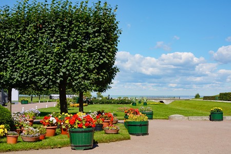 The former Imperial residence of Peterhof, the flower garden in the Lower Parkの写真素材